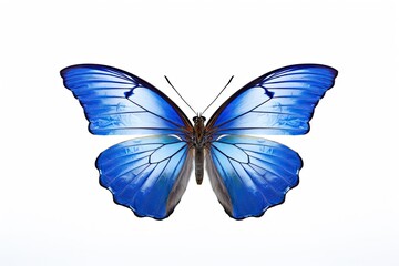 Romantic Flutter. Beautiful Butterfly in Nature, Isolated on White Background. Generative AI illustrations.