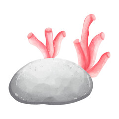 coral watercolor, Underwater sea life, ocean creatures clipart