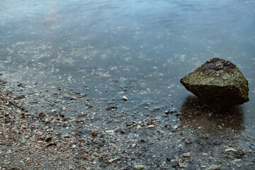 River Rocks and Plants