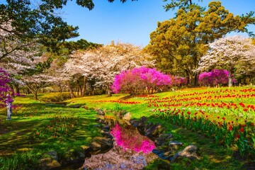 Obraz premium 別府公園