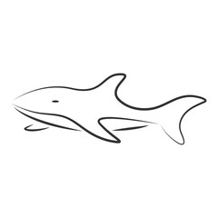 Obraz na płótnie Canvas shark logo vector illustration design