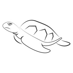 turtle vector illustration design