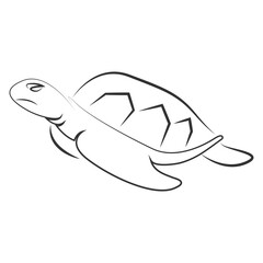 Naklejka premium turtle vector illustration design