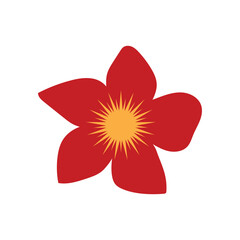 Beauty plumeria icon flowers design illustration symbol