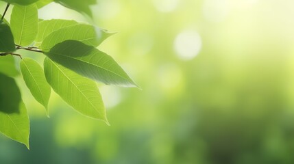 Fototapeta na wymiar green leaf on blurred bokeh background