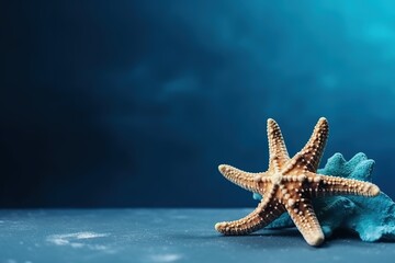 Fototapeta na wymiar star fish isolated on blue background