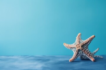 Fototapeta na wymiar star fish isolated on blue background