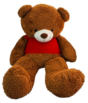 Cute Teddy Bear Image for&nbsp;Sale