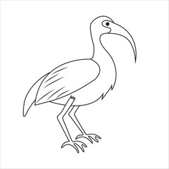 Ibis Bird coloring pages for kids