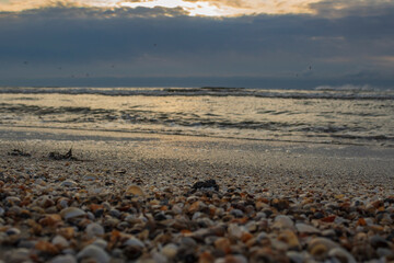 Sea, seashore, Waves over water, Landscape, nature