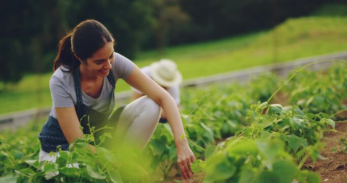 Happy, nature and face of woman farming for agriculture, sustainability and gardening. Smile, portrait and a female farmer in a vegetable garden for planting, ecology growth and harvesting in a field
