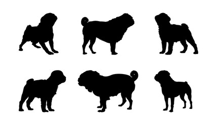 Side View of Pug Dog Silhouettes