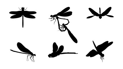 Simple Black Dragonfly Silhouette Vector © Demibara