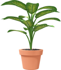 3D Render Potted Houseplant