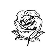 Hand drawn rose illustration. Abstract flower outline vector icon