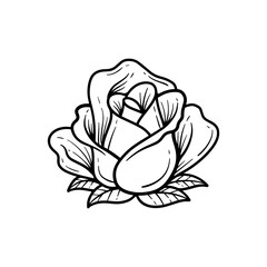Hand drawn rose illustration. Abstract flower outline vector icon
