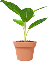 3D Render Botanical Potted Plant
