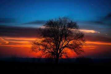  a tree is silhouetted against a colorful sunset in the distance with clouds in the sky and the sun in the distance with a few clouds. generative ai