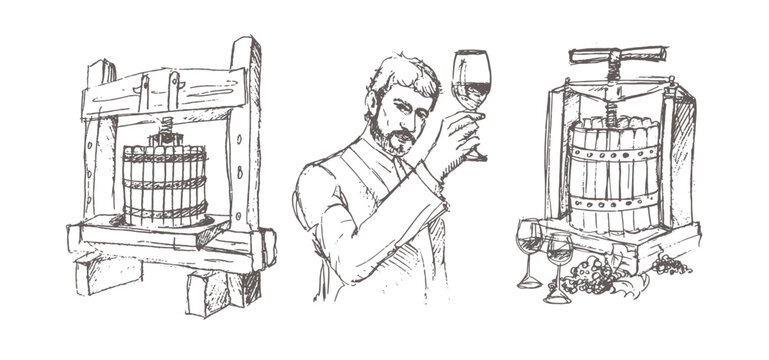 Hand drawn Illustrations for winemaking. Man carries barrels of wine in a cart. Men carry wine barrels. The man on the boat. Confident male sommelier examining glass with wine  near the wooden shelf.