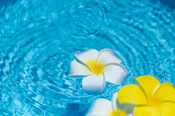 Deurstickers 水に浮かぶプルメリアの花 © 歌うカメラマン