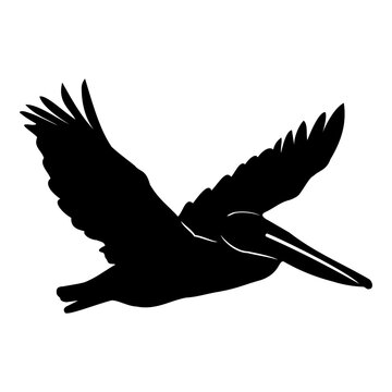 recommend clip art: flying pelican silhouette