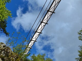 Blackforestline - die Hängebrücke Todtnau