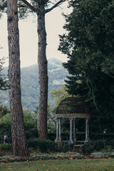 big pine trees and white pavilion in a garden
