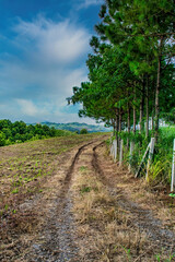 long road leading towards mountain in Thailand.