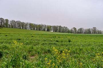 Mariastein, Kapelle, St. Anna-Kapelle, Kloster, Kloster Mariastein, Wallfahrt, Dorf, Wanderweg, Landwirtschaft, Felder, Frühling, Morgennebel, Schweiz