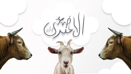 Eid-ul-Adha Celebration with Calligraphy and Cow Artwork
