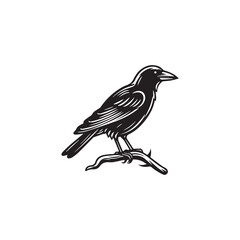 crow on lamb twig . raven, crow, black, logo icon
