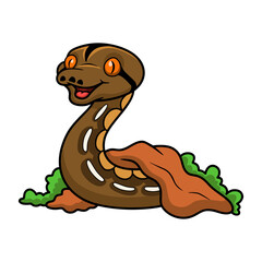 Cute tiger reticulatus python cartoon out from hole