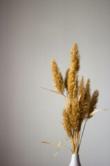 ears of wheat on a blue background