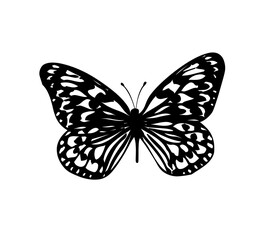 Fototapeta na wymiar butterfly illustration Generative AI