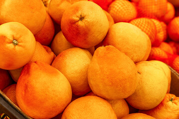 Lots of fresh large grapefruits on the counter in the store. Organic food, vitamins and health. Close-up.