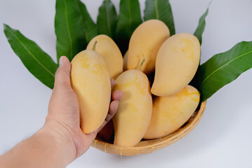 mango Nam Dok Mai