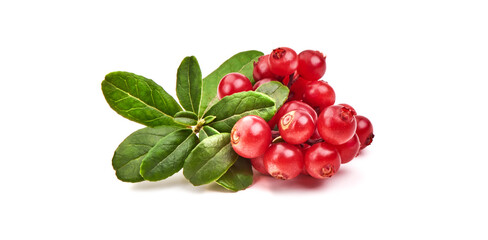 Lingonberry with leaves, isolated on white background.