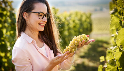 Smiling young woman holding a bunch of grapes in a wineyard and checking if it is ripe enough -...