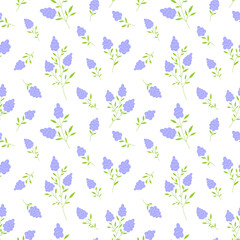 Muscari grape hyacinth bloom seamless pattern flat. Purple flower mid spring delicate modern print wild plant meadow herb floral branch fabric textile wallpaper cover wrap print white background