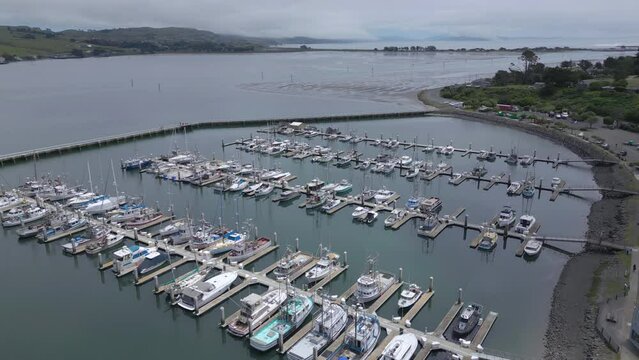flying counter clockwise around marina in Bodega Bay California