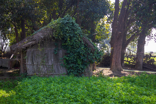 Water pump Hut made with Desmostachya bipinnata