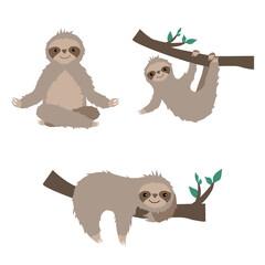 Set of sloths, sloths, sloth on branch, chill sloth, meditating sloth, cute sloths, cute sloth, cartoon sloth, baby sloth,
