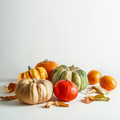 Various colorful pumpkins on white background with autumn leaves, front view. Modern still life