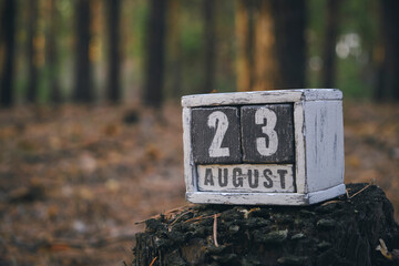 August 23 summer month, wooden calendar with date and month in forest.