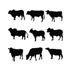Cow silhouettes set vector icon