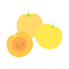 ケイアップル（ウムココラ）。フラットなベクターイラスト。
Kei Apple. Flat designed vector illustration.