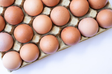 Fresh chicken brown eggs in a tray on a white background