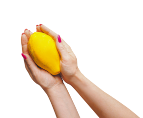 Women hands holding yellow papaya fruit, isolated