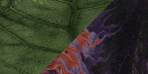 Burned and ripped paper texture background