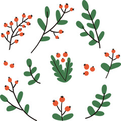 Hand drawn winter branches and leaves. Vector elements.